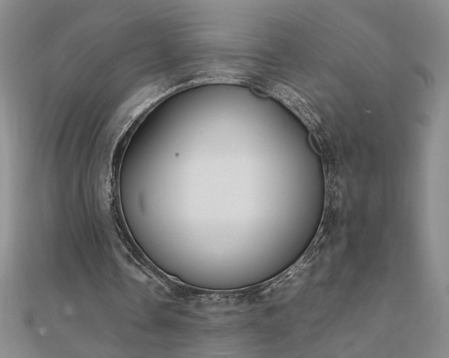 X0000111900338200908031121