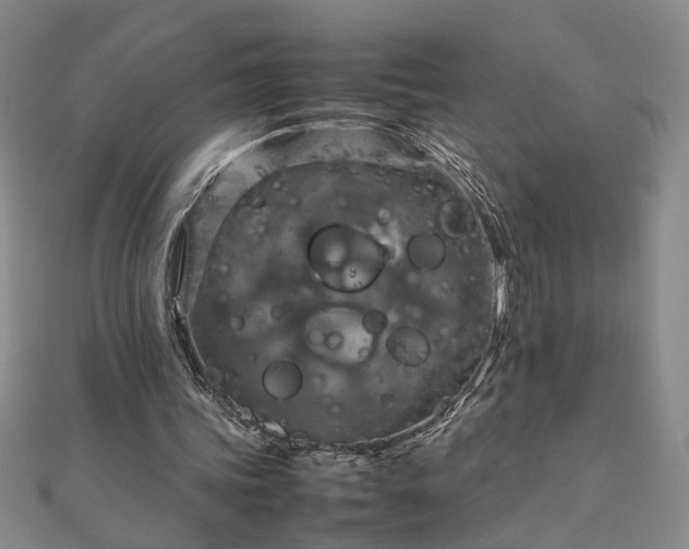 X0000111900339200908031121