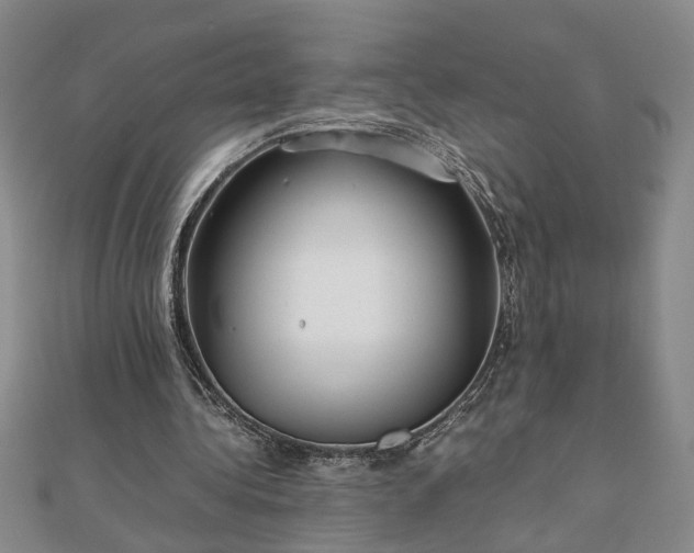 X0000111900340200908031121