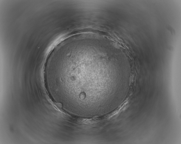 X0000111900341200908031121