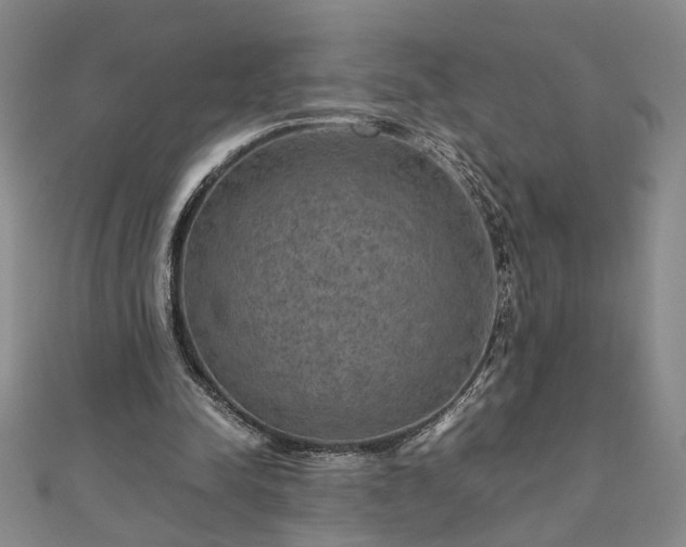 X0000111900342200908031121