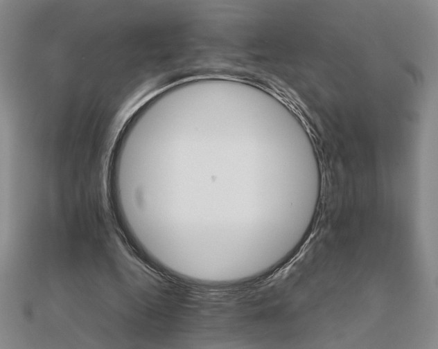 X0000111900344200908031121