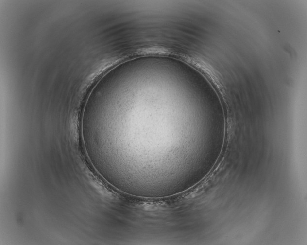 X0000111900345200908031121