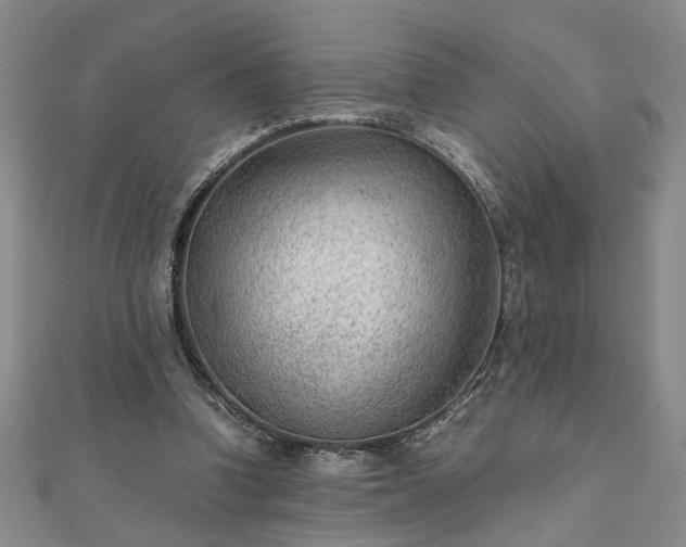 X0000111900346200908031121