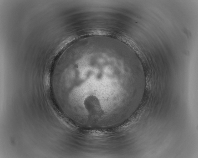 X0000111900347200908031121