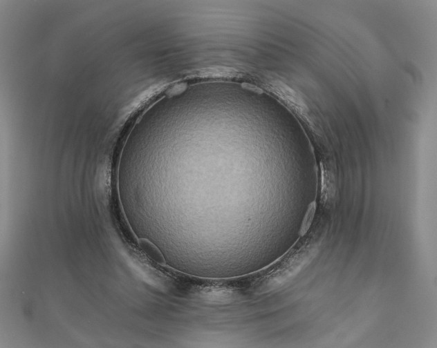 X0000111900348200908031121