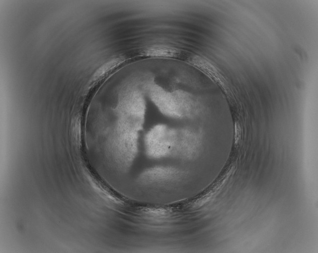 X0000111900349200908031121