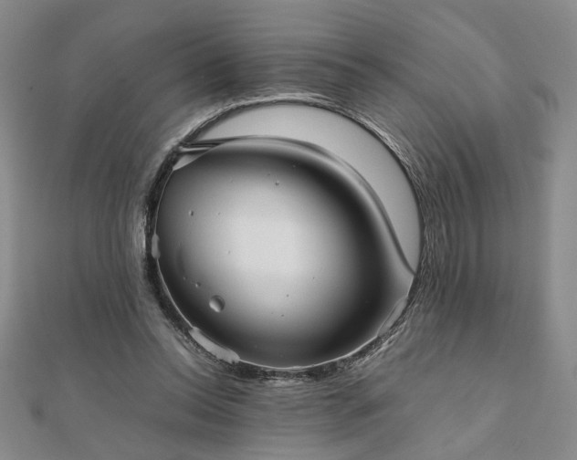 X0000111900350200908031121