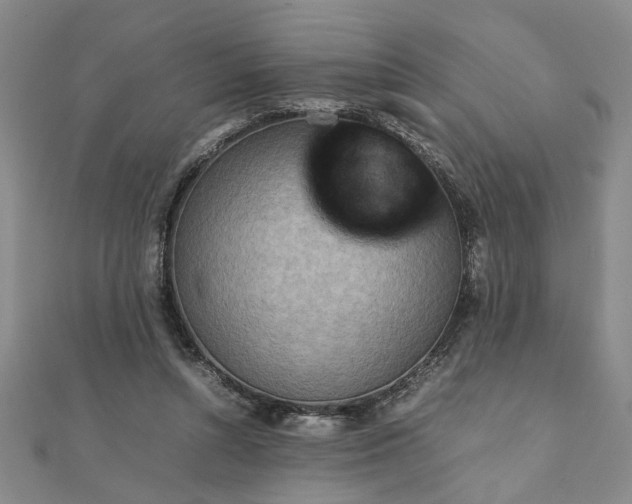 X0000111900352200908031121