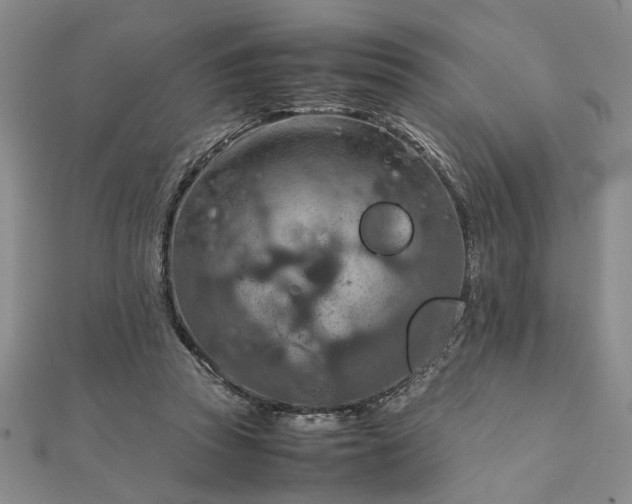 X0000111900353200908031121