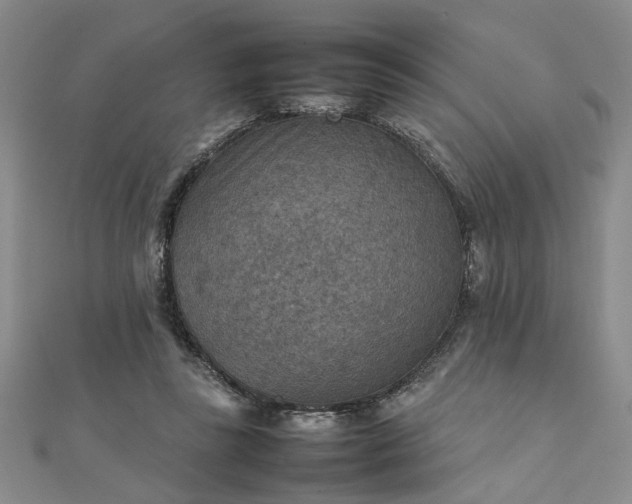 X0000111900355200908031121