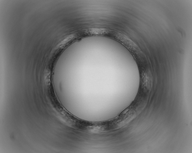 X0000111900356200908031122