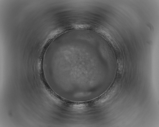 X0000111900357200908031122