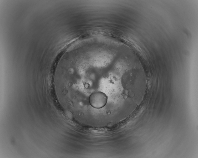 X0000111900359200908031122