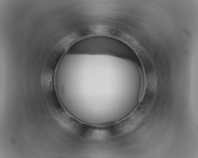 X0000111900360200908031122