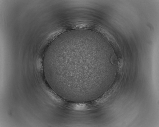 X0000111900361200908031122