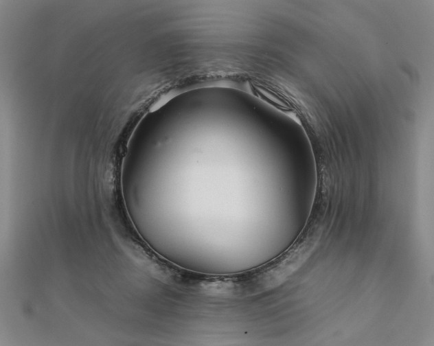 X0000111900362200908031122