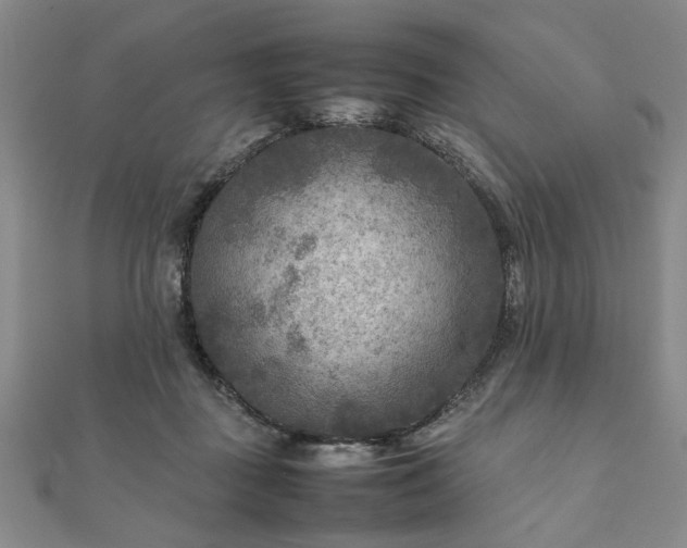 X0000111900363200908031122