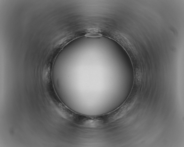 X0000111900364200908031122