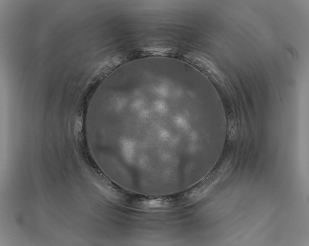 X0000111900365200908031122