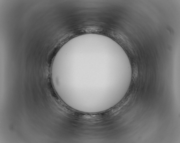 X0000111900367200908031122