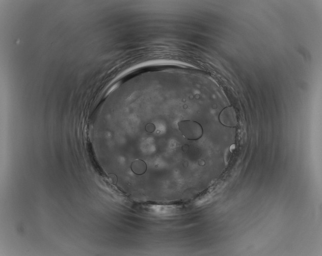 X0000111900371200908031122