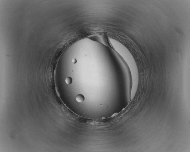 X0000111900372200908031122