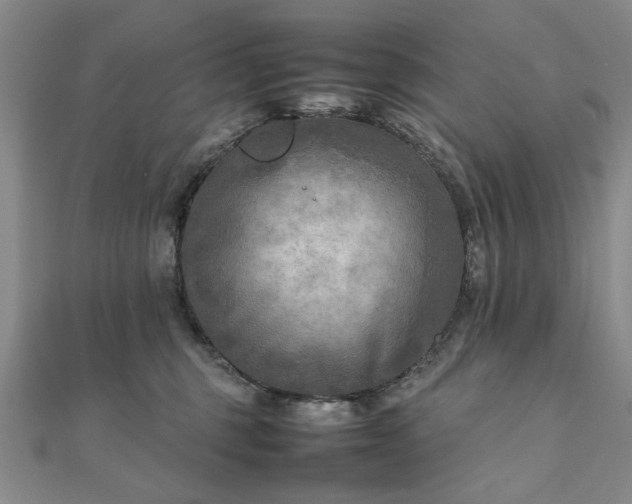 X0000111900375200908031122