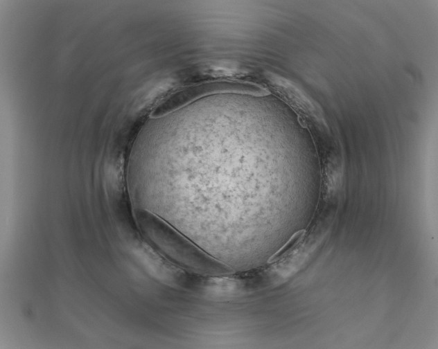 X0000111900376200908031122