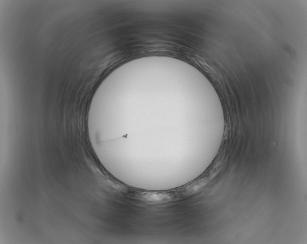 X0000111900379200908031122