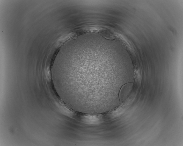 X0000111900381200908031122