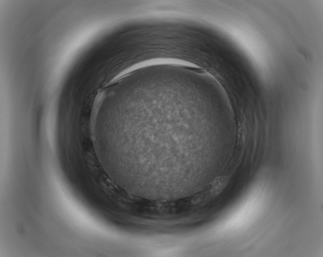 X0000111900383200908031122