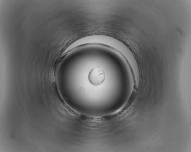 X0000111900384200908031122