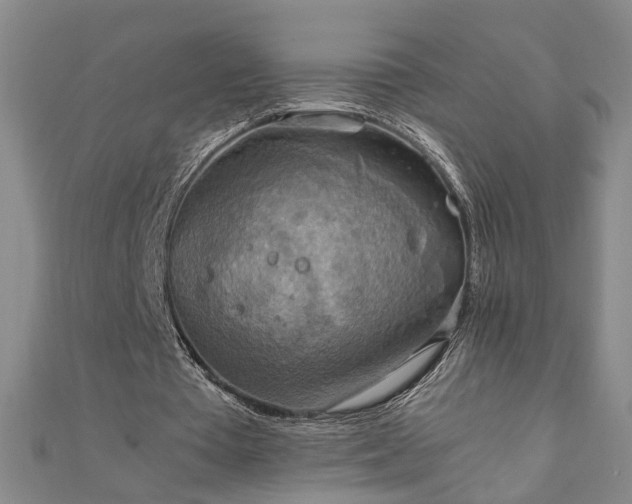 X0000111900385200908031121