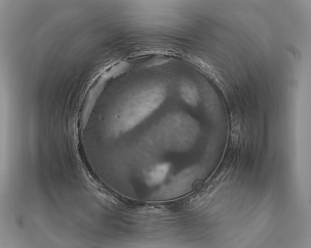 X0000111900386200908031121