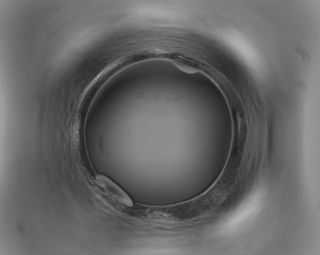 X0000111900387200908031121