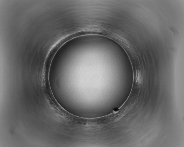 X0000111900388200908031121