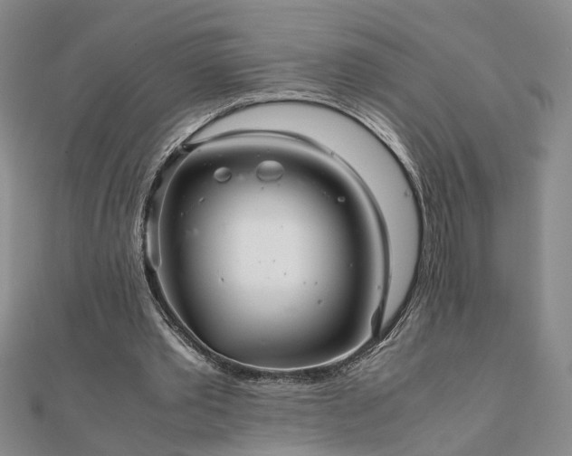 X0000111900389200908031121