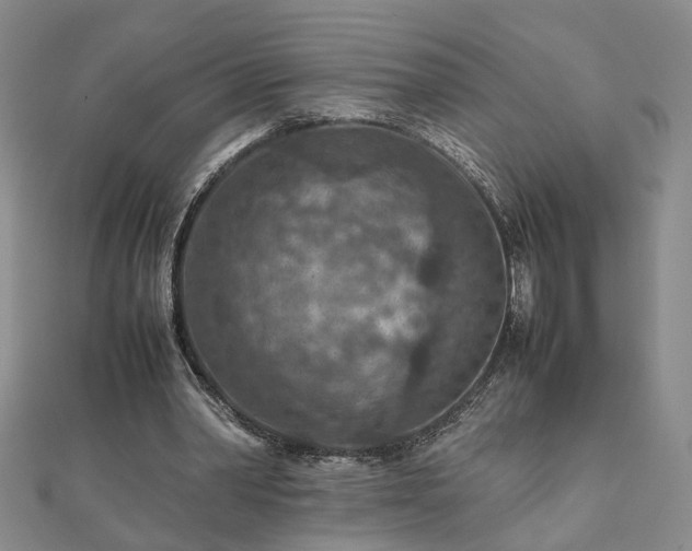 X0000111900390200908031121