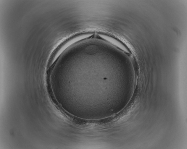 X0000111900391200908031121