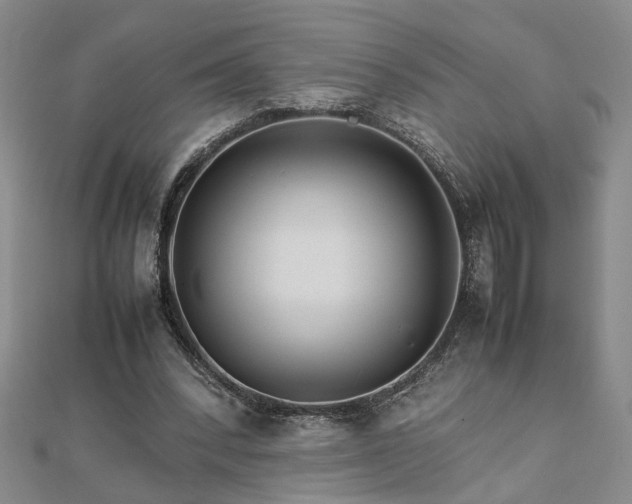 X0000111900392200908031121