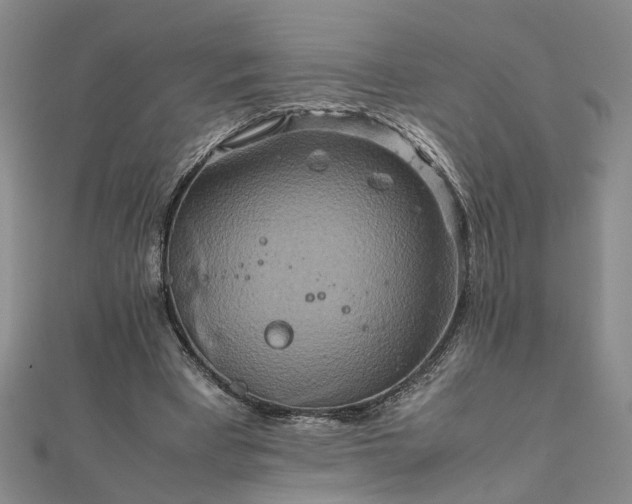 X0000111900393200908031121