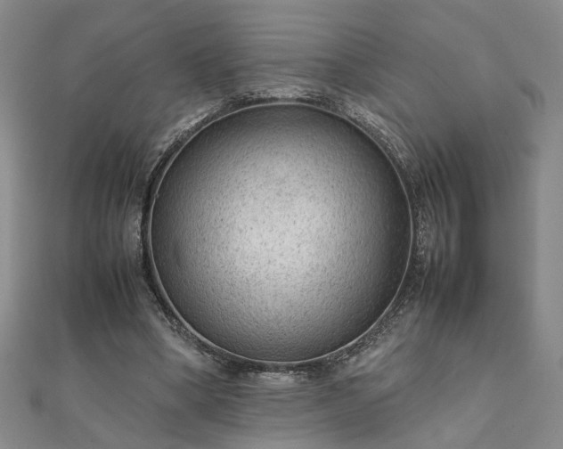 X0000111900394200908031121