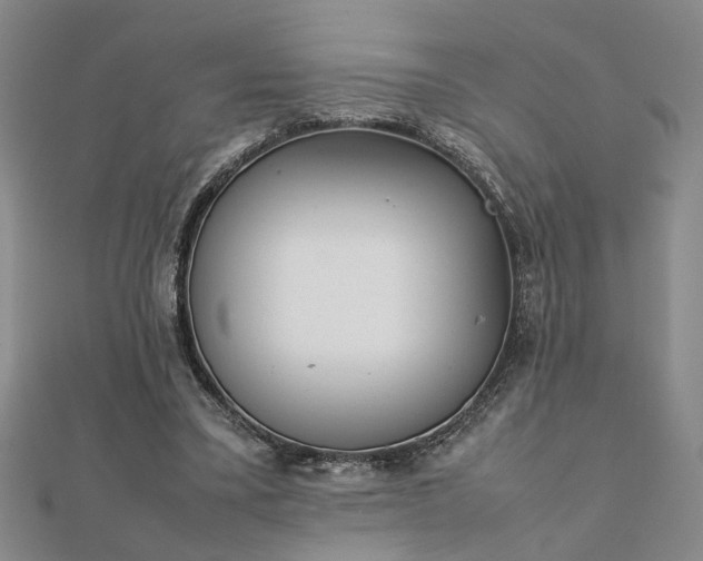 X0000111900395200908031121