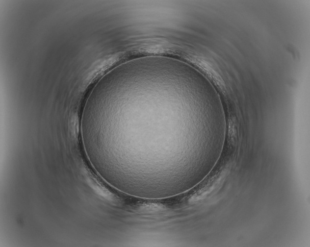 X0000111900397200908031121