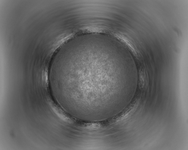 X0000111900398200908031121