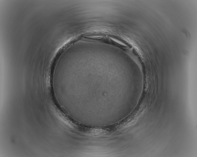 X0000111900399200908031121