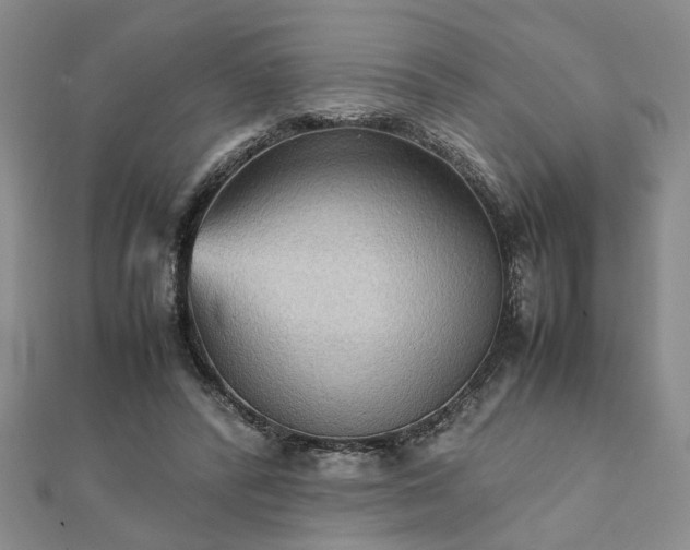 X0000111900400200908031121