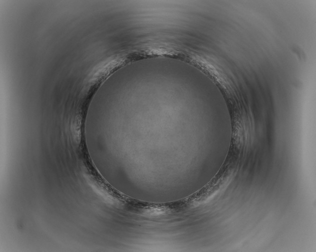 X0000111900402200908031121