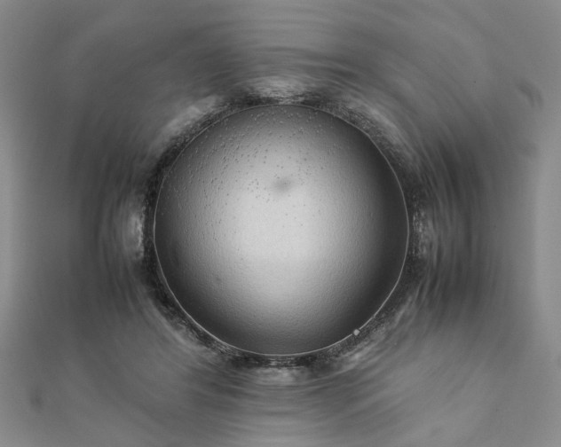 X0000111900404200908031121